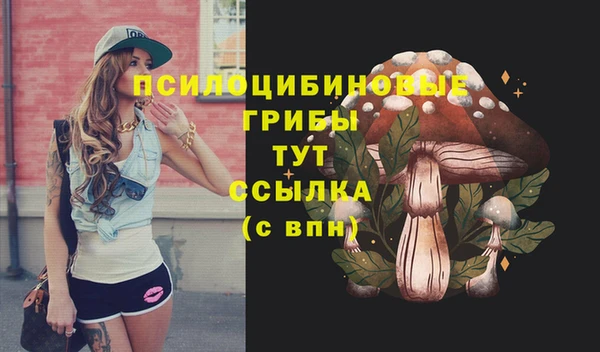 круглые Алексин
