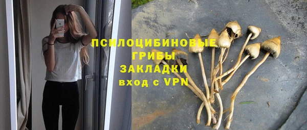 амфетамин Алексеевка