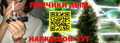 гидра Кингисепп