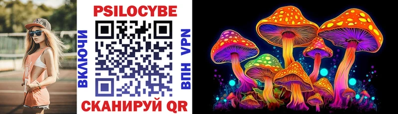 Псилоцибиновые грибы Cubensis  Моздок 