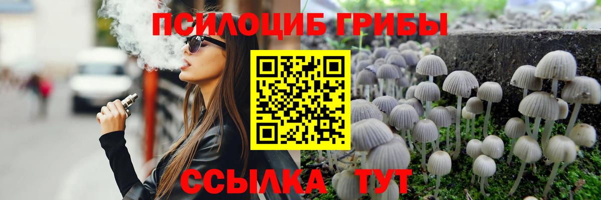 Моздок  Галлюциногенные грибы мухоморы  Галлюциногенные грибы Psilocybe  Вход с VPN 