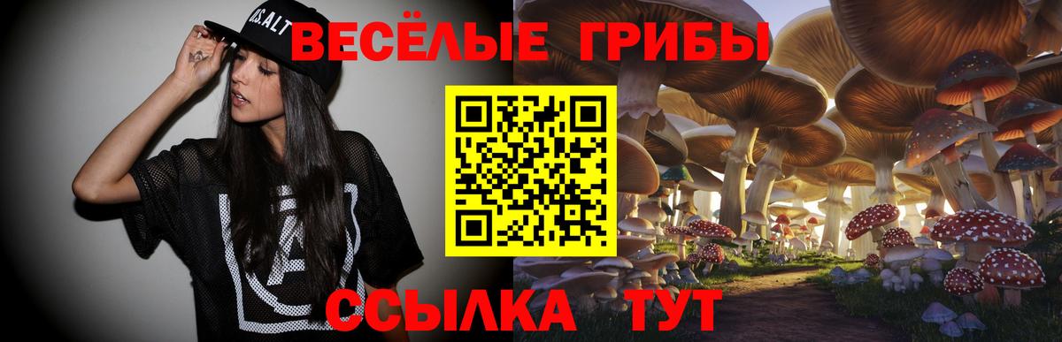 Псилоцибиновые грибы ЛСД Моздок